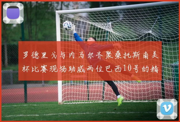罗德里戈与内马尔齐聚桑托斯南美杯比赛现场助威两位巴西10号的精彩时刻